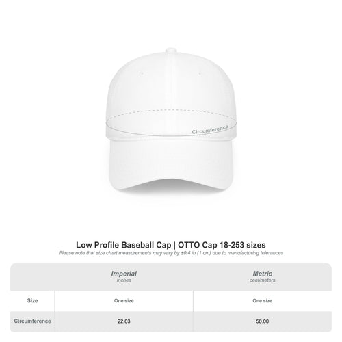 Casquette brodée cactus | Casquette désert de l'Ouest | Casquette de baseball en coton à profil bas