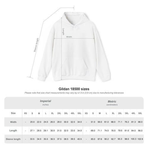 Bison Sunset Mountain Hoodie | Western Landscape Graphic | Montana Flow