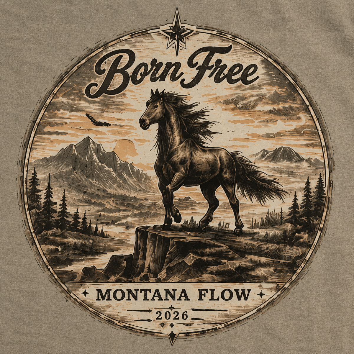 T-shirt cadeau pour amoureux des chevaux | T-shirt vintage style western | T-shirt graphique de cowboy